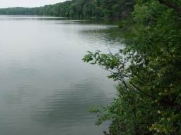 Springfield lake4.JPG